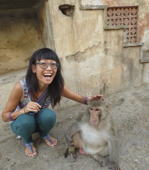"Here, monkey, monkey, monkey! Nice, monkey!" Monkey Temple in Jaipur